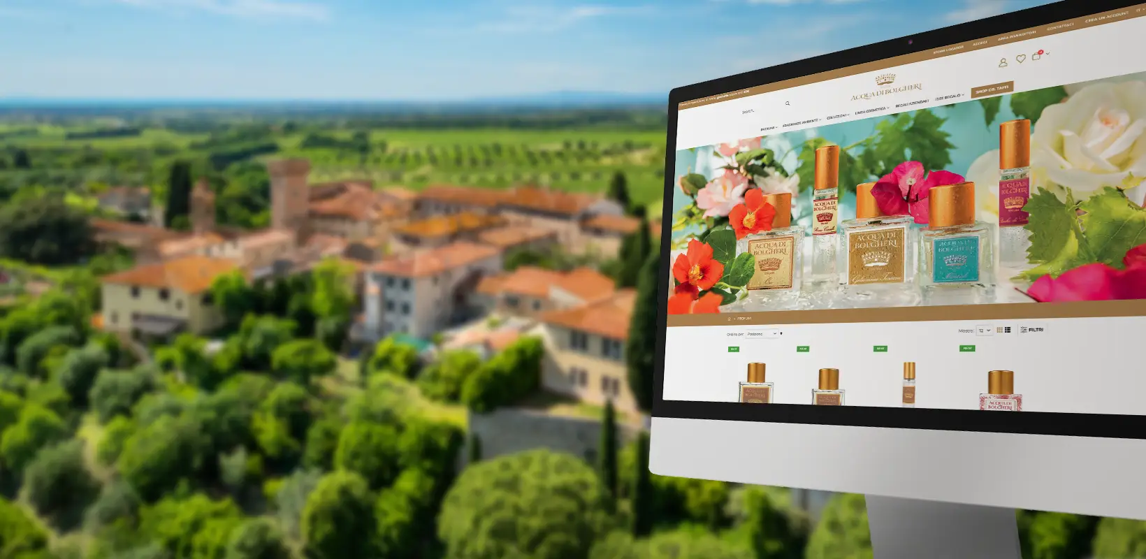 Acqua di Bolgheri — dettaglio del progetto 1