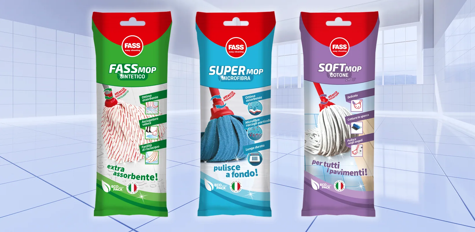 FASS — dettaglio del progetto 1