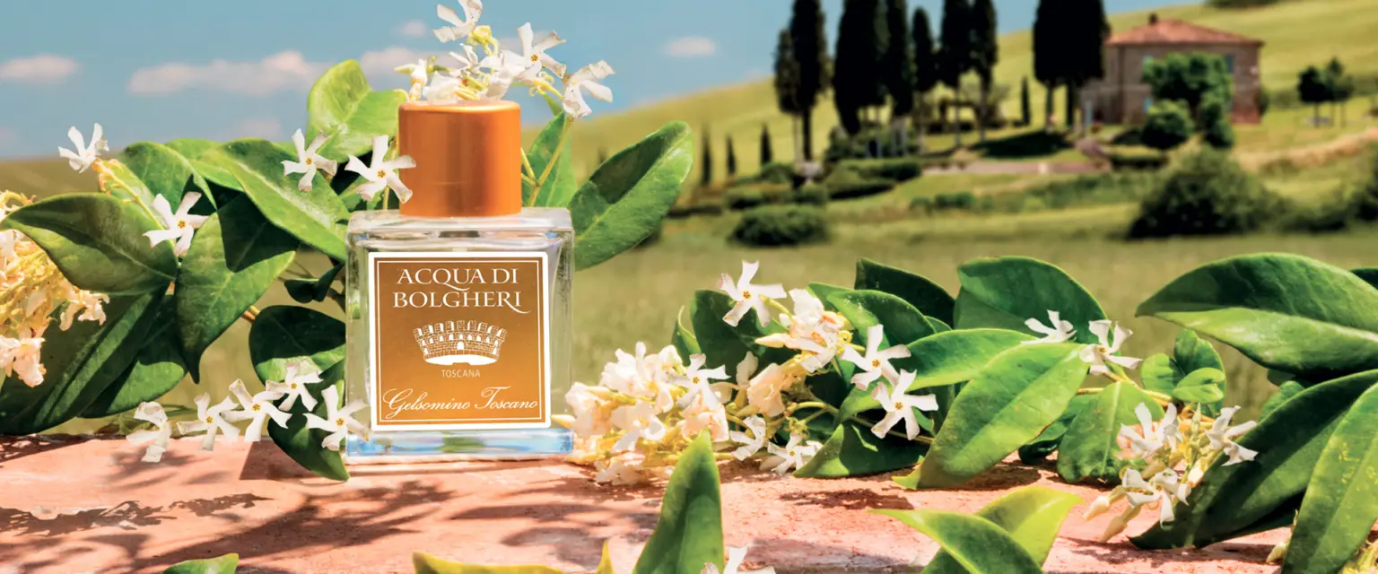 Progetto Acqua di Bolgheri